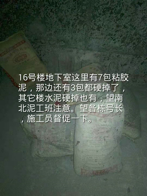 澳门历史马记录